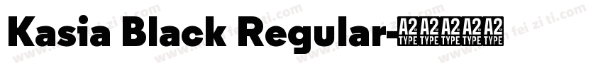 Kasia Black Regular字体转换